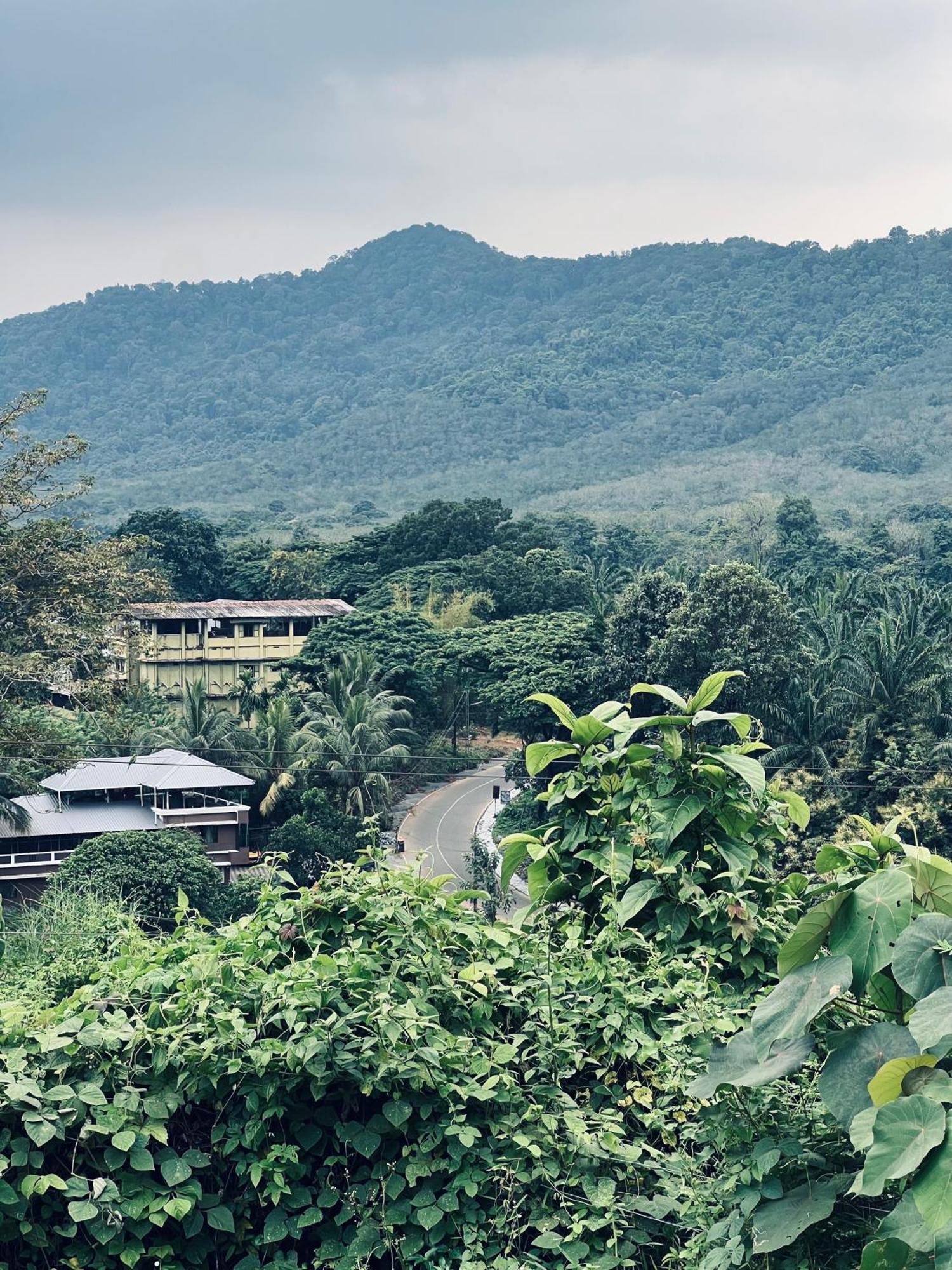 7Fort Homestay Athirappilly Dış mekan fotoğraf